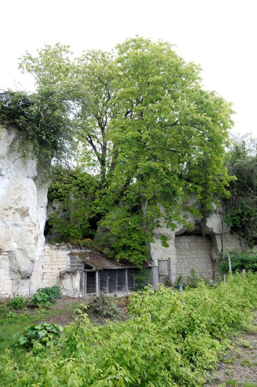 Maison Mireligère, 8 rue de la Bonnardière, Montsoreau