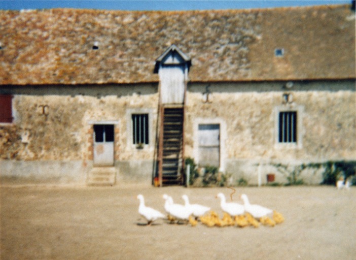 Ferme - la Baforière, Blandouet