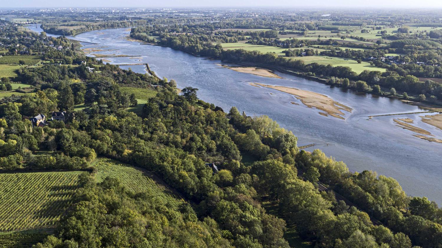 Confluence Maine-Loire : présentation de l'aire d'étude