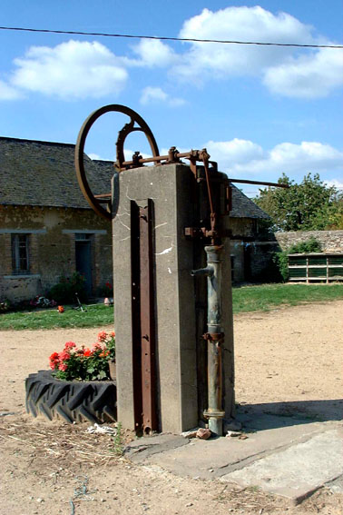 Ferme, le Pinot