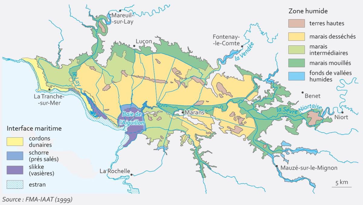 Vallée de la Sèvre Niortaise dans le Marais poitevin : présentation du territoire