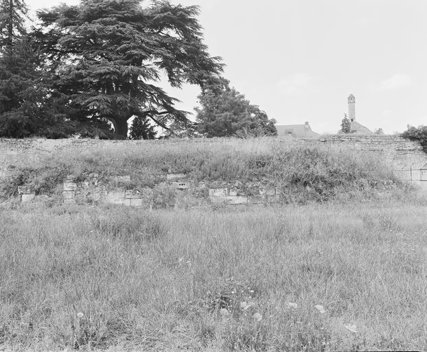 Chapelle Notre-Dame-de-Liesse (vestiges), rue du Logis-Bourbon, Fontevraud-l'Abbaye