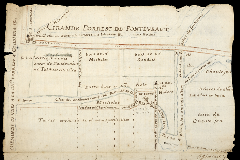 Fontevraud-l'Abbaye : présentation de la commune