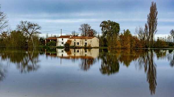 Ferme dite la Barbitterie, actuellement maison ; les Marais Bas