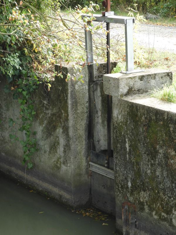 Marais desséchés du Commandeur