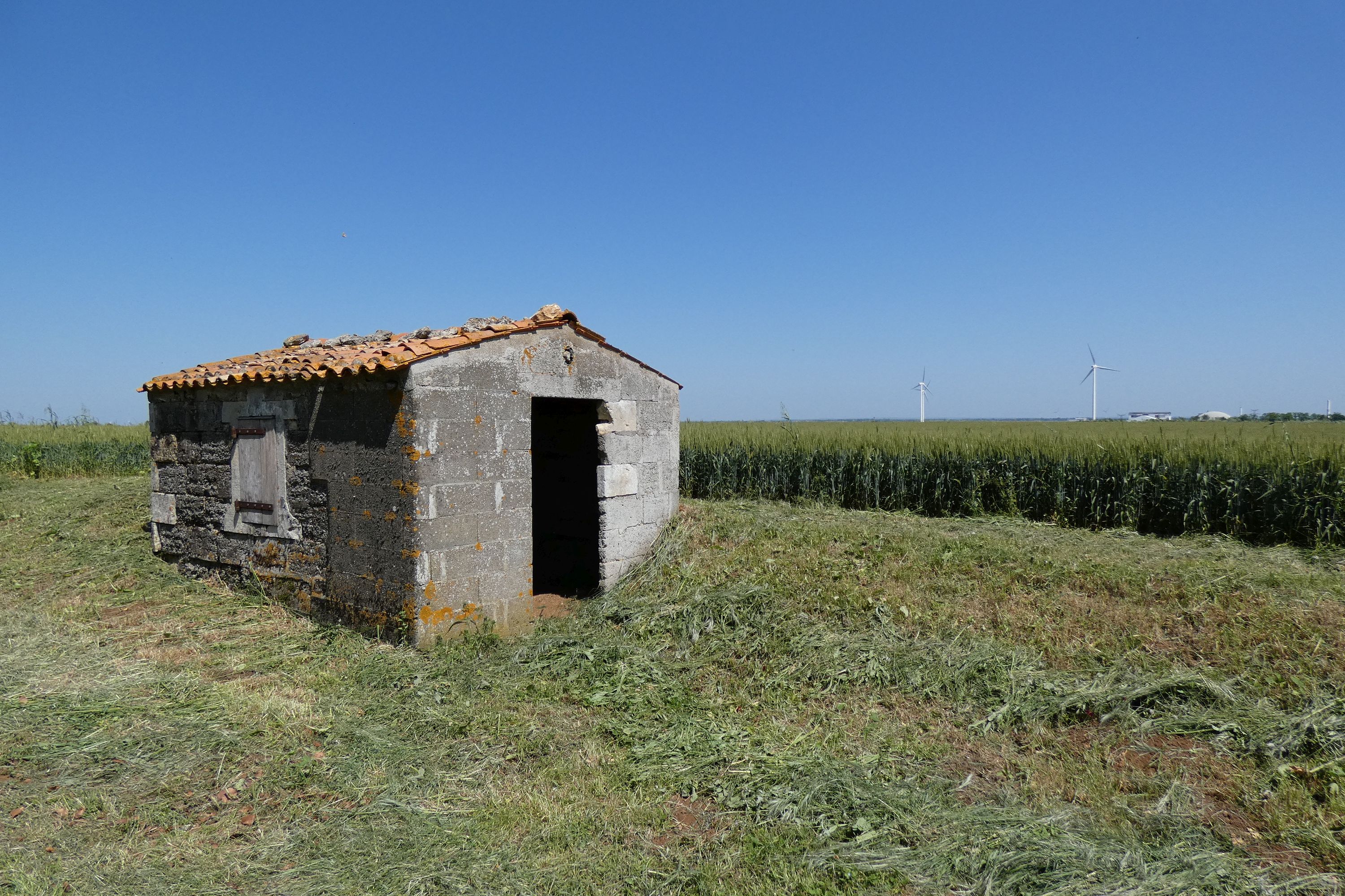 Cabane de vigne, le Fief du Vert