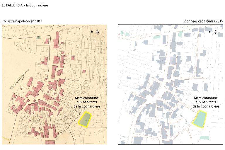 Mare commune aux habitants de la Cognardière depuis au moins 1811 (levée du cadastre napoléonien)