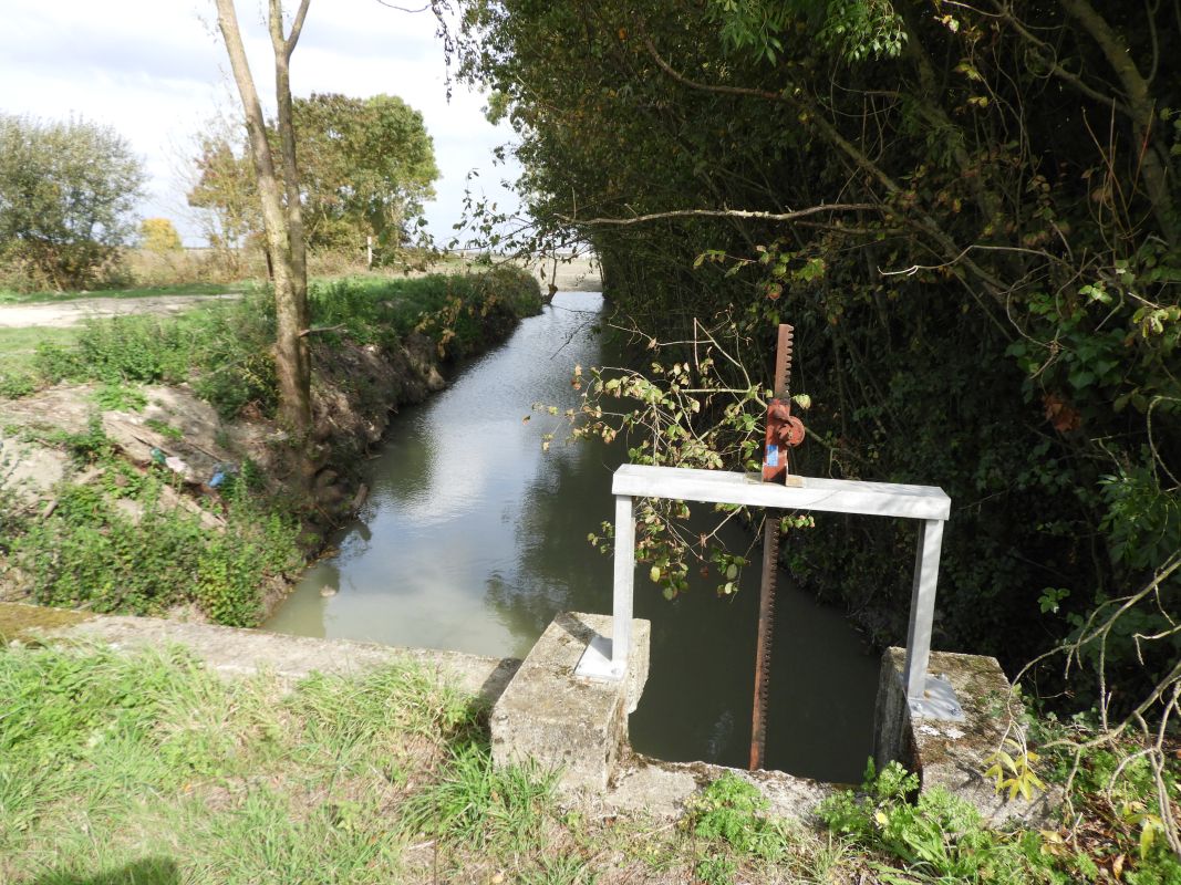 Marais desséchés du Commandeur