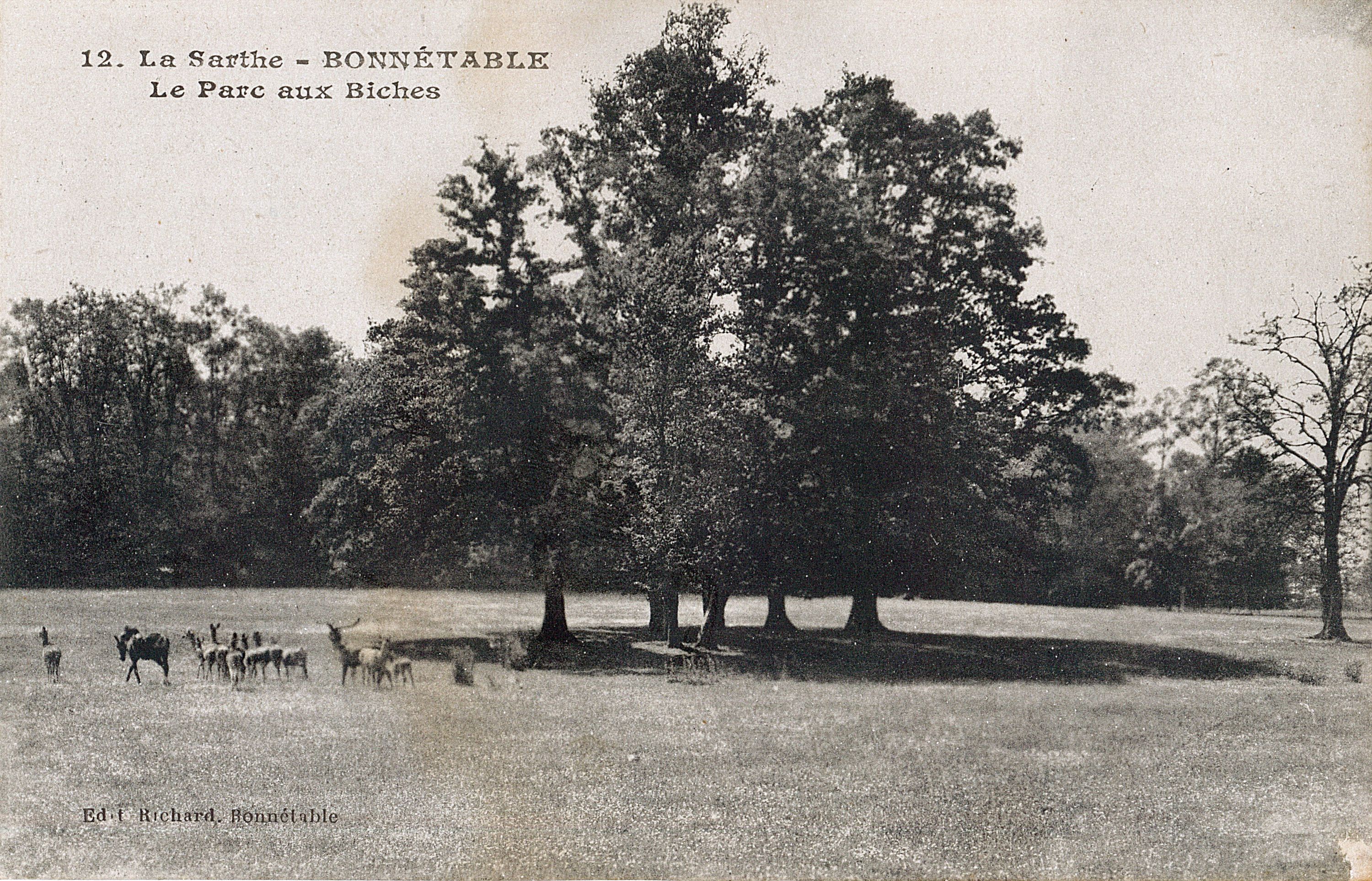 Le parc du château de Bonnétable