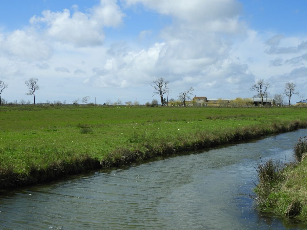 Maisons, fermes : l'habitat à Sainte-Radégonde-des-Noyers