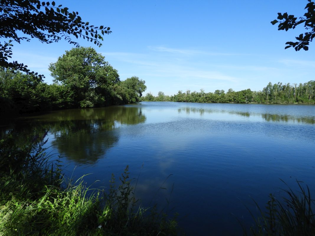 Etang de la Sablière