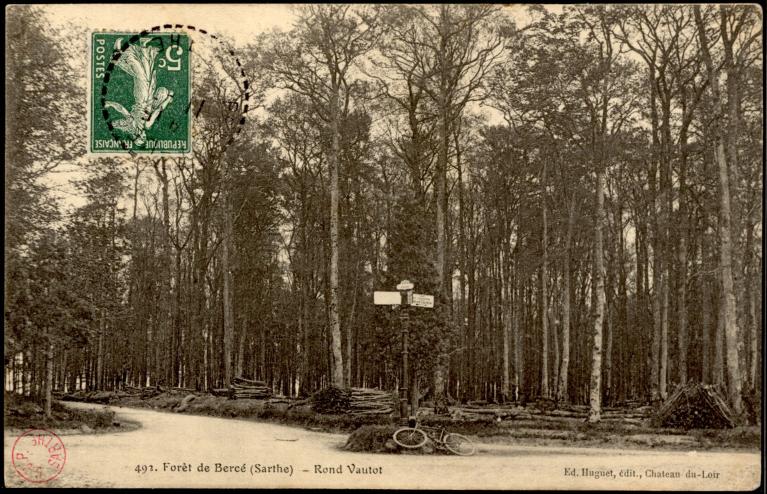 La Forêt de Bercé : présentation de l'aire d'étude