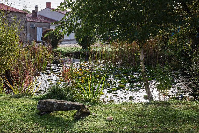 Mare commune aux habitants de la Pétinière à Vallet (AI01-127, cadastre 2018).