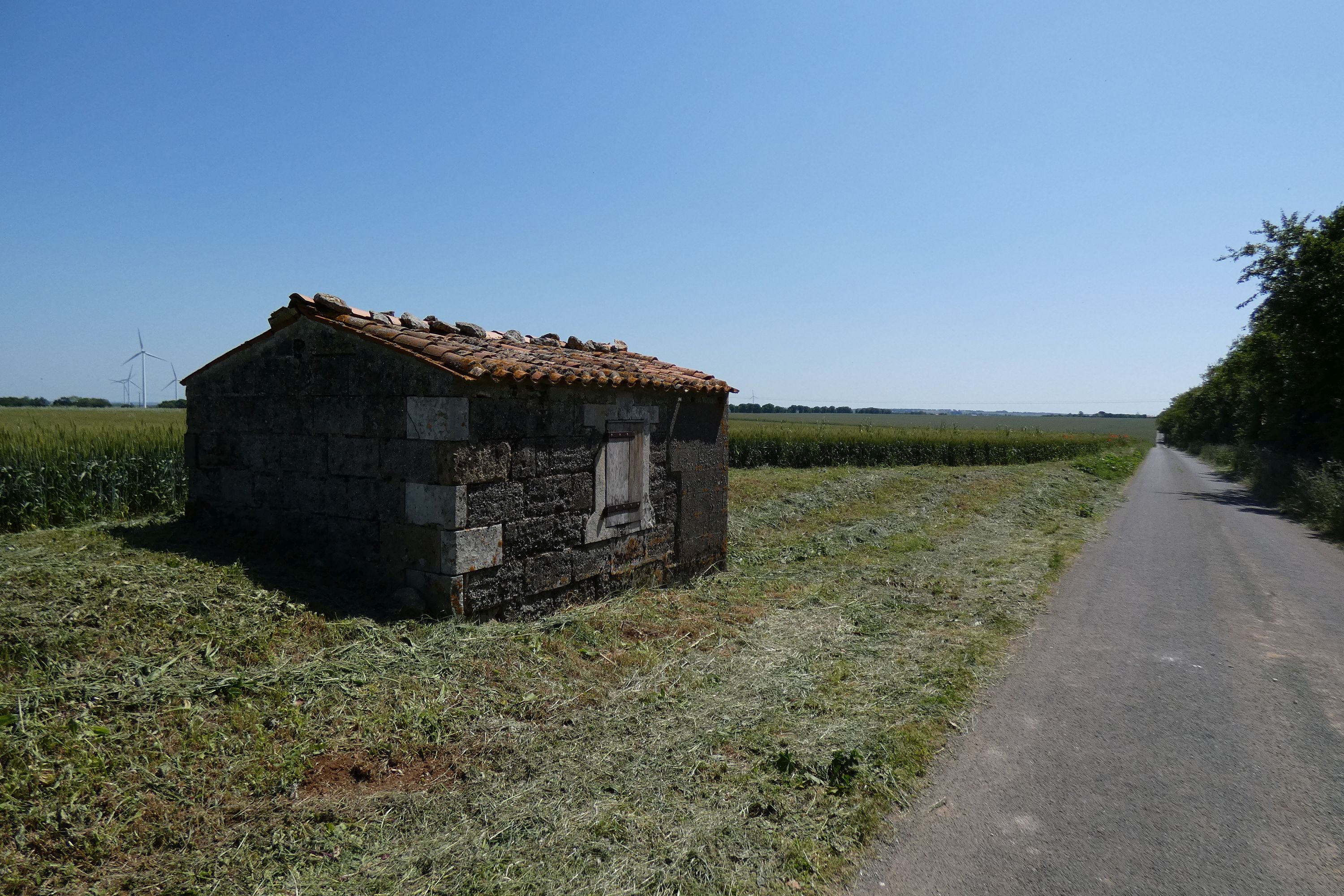 Cabane de vigne, le Fief du Vert