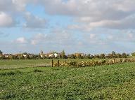 Maisons, fermes : l'habitat à Sainte-Radégonde-des-Noyers