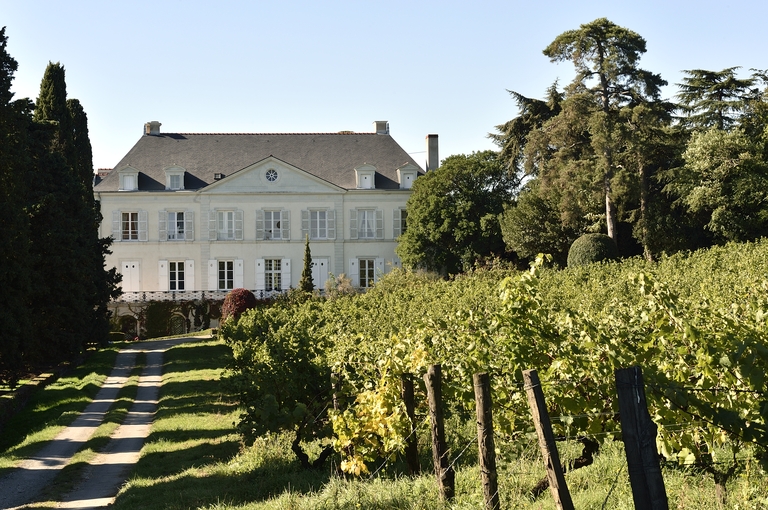 Maison de maître puis château de la Roche-aux-Moines