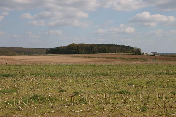 Luché-Pringé : présentation de la commune