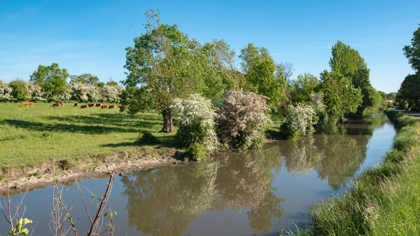 Canal dit la rigole de la Rive droite, canal du Grand Coin