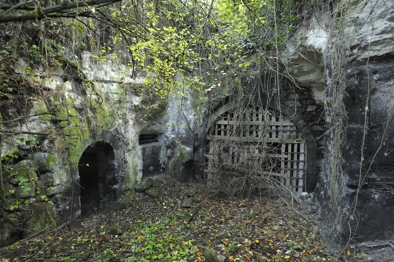 Ferme de Champfleury (ruinée), Montsoreau