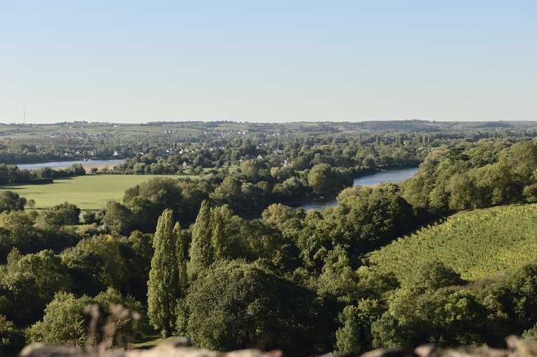 Vue de l'île de Béhuard et de la boire de la Guillemette depuis les hauts de la Roche-aux-Moines.