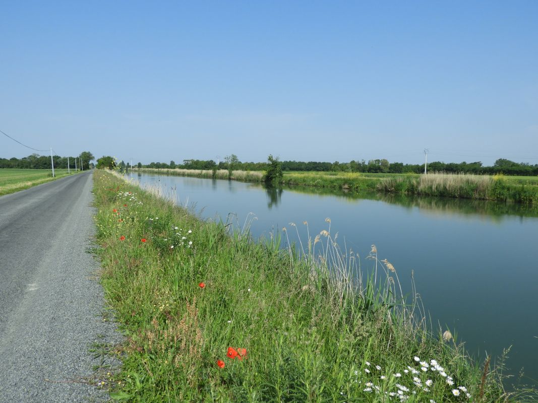 Canal de Pomère