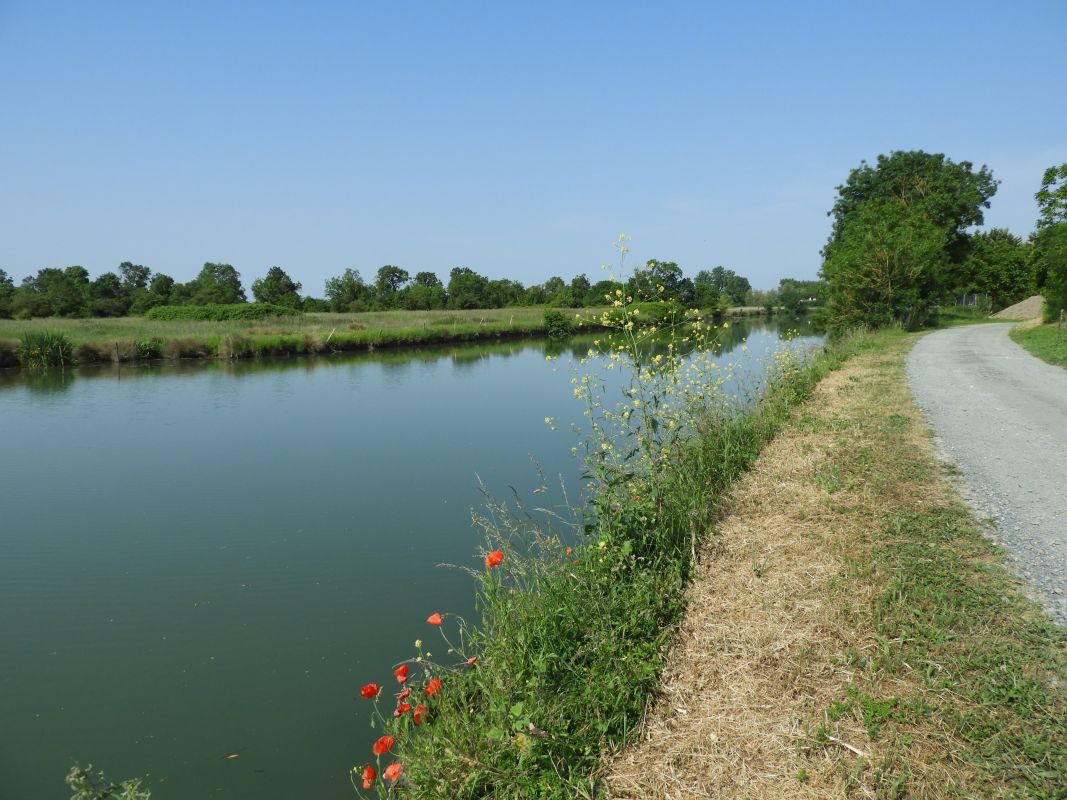 L'ÎLe-d'Elle : présentation de la commune