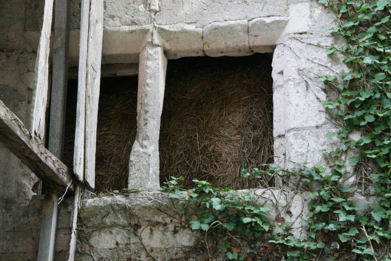 Maison, ancien logis seigneurial de la Roche