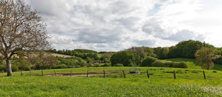 Thoiré-sur-Dinan : présentation de la commune
