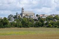 Montjean-sur-Loire : présentation de la commune