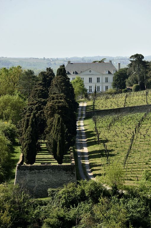 Maison de maître puis château de la Roche-aux-Moines