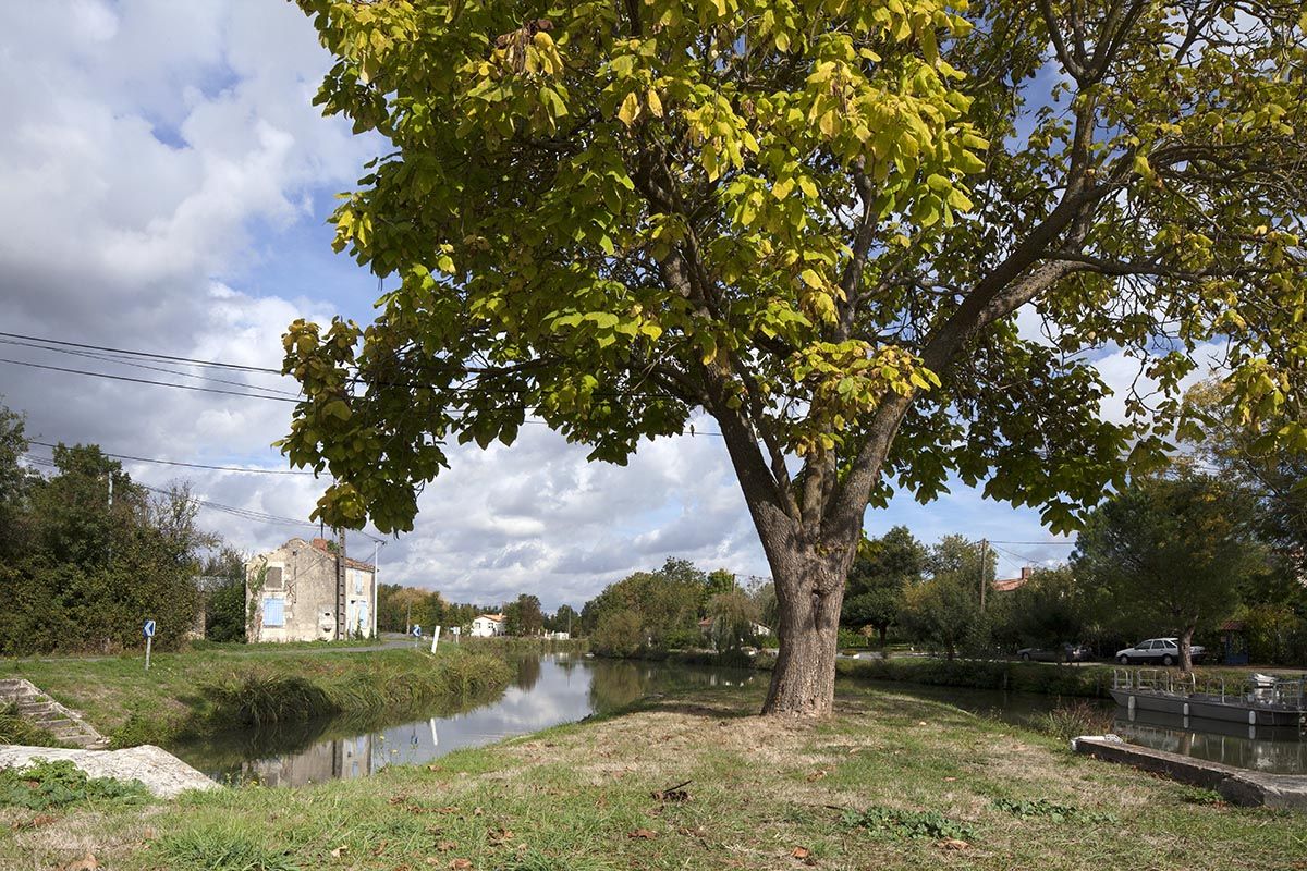 Hameau et site d'écluse de Bazoin