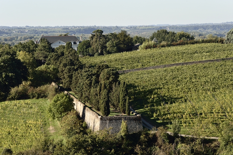 Maison de maître puis château de la Roche-aux-Moines