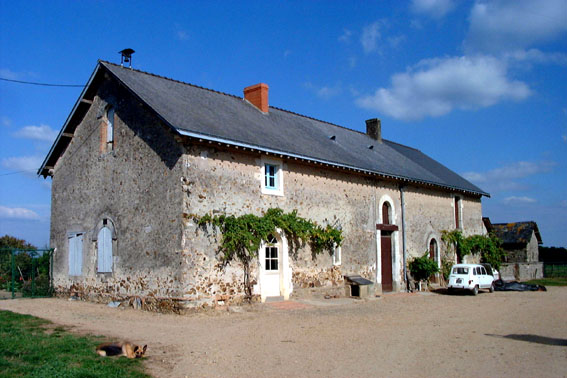 Ferme, le Pinot