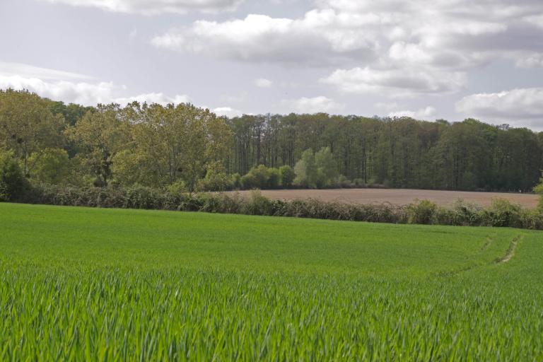 Saint-Vincent-du-Lorouër : présentation de la commune