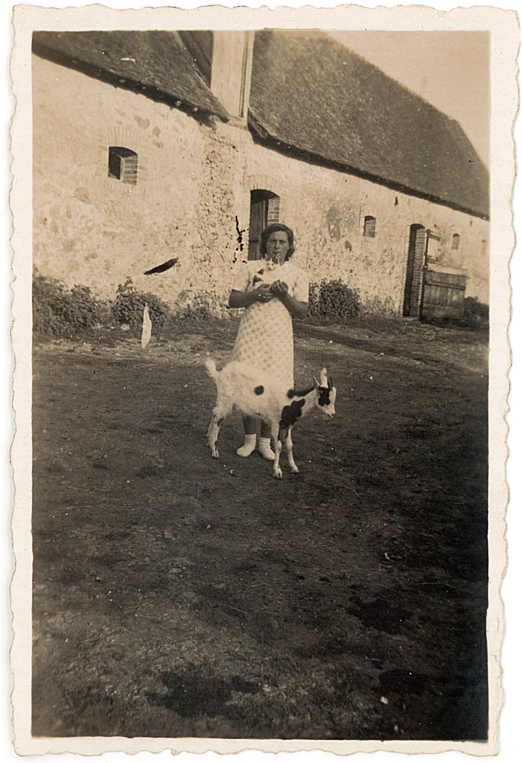 Rosay, manoir (détruit) puis ferme, actuellement maison.