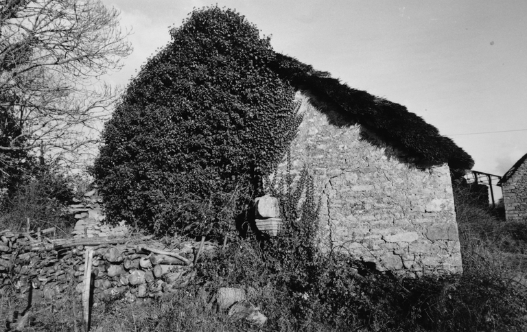 Manoir de Troffigué, puis ferme