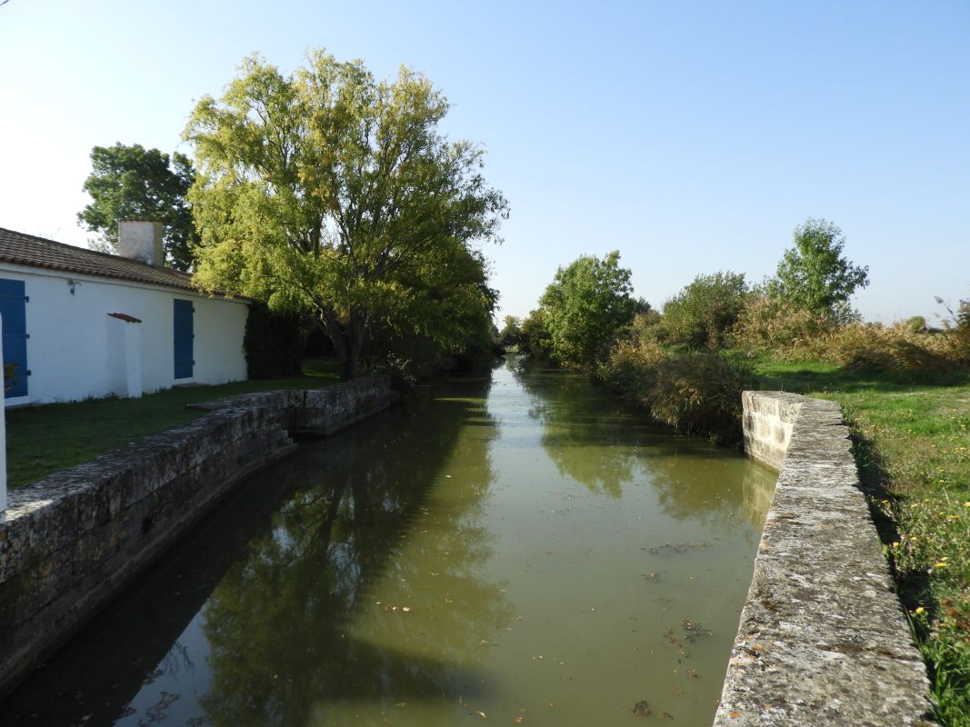 Canal du Clain