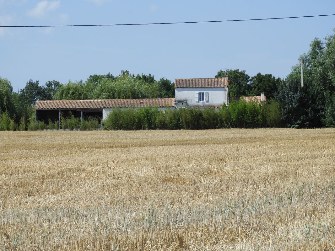 Ecluse ou pêcherie de Tabarit (disparue), ferme, actuellement maison