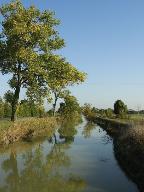 Le canal du Clain, au nord de Sainte-Radégonde-des-Noyers, près de la Sablière, vu en direction du nord.