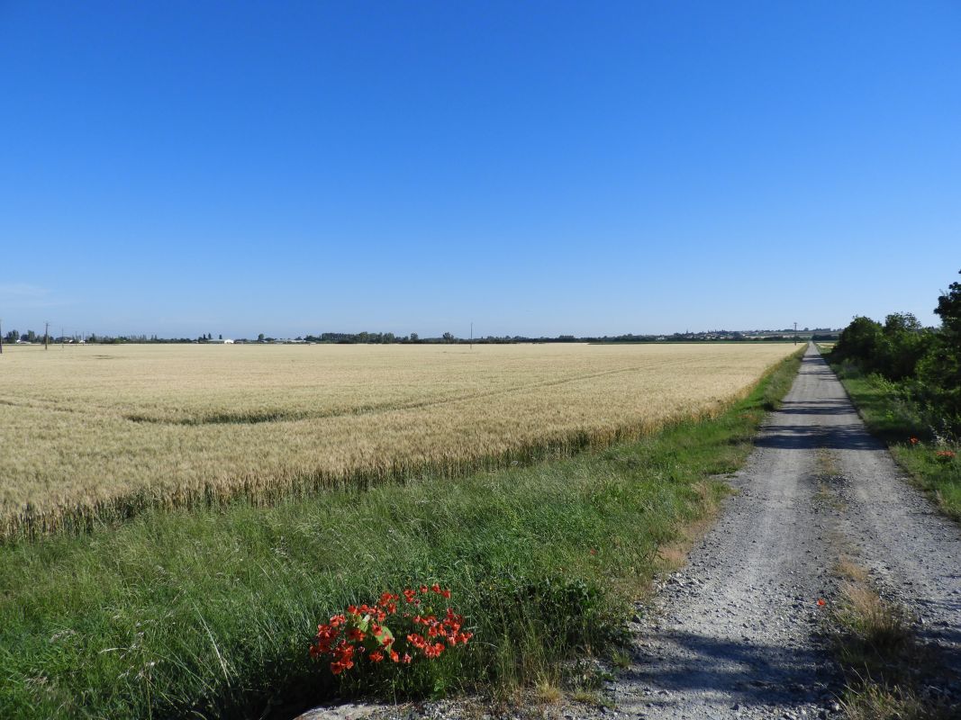 L'ÎLe-d'Elle : présentation de la commune