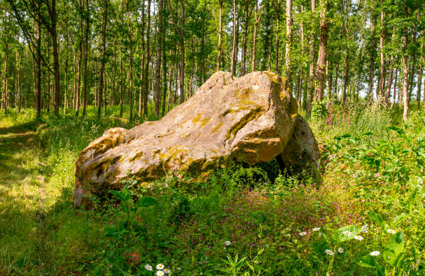 Parc (vestiges) de la Pescherie