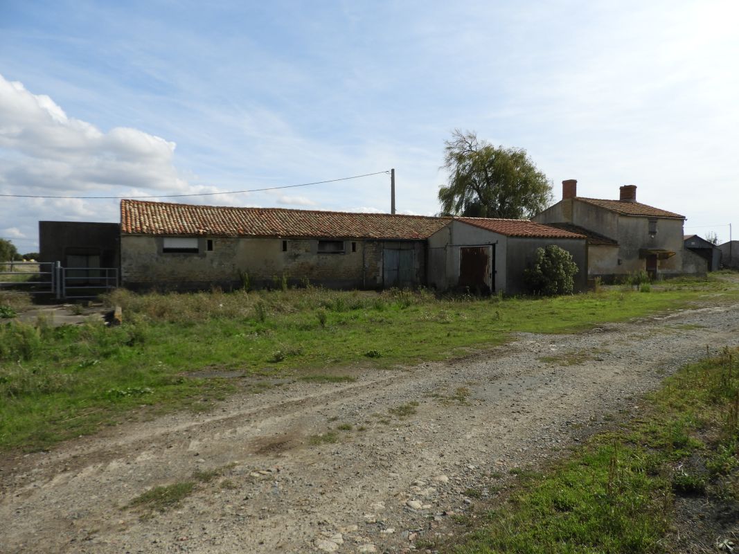 Maisons, fermes : l'habitat à Puyravault