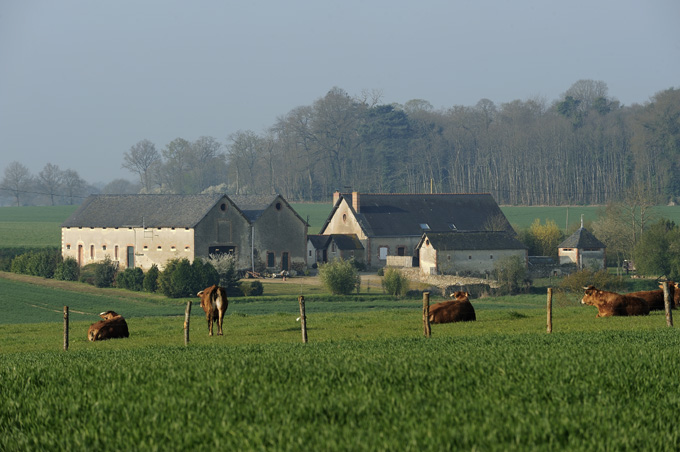 Présentation de la communauté de communes du Haut-Anjou