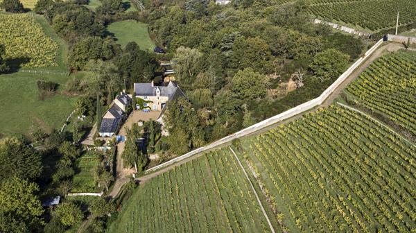 Manoir, puis ferme de la Coulée-de-Serrant