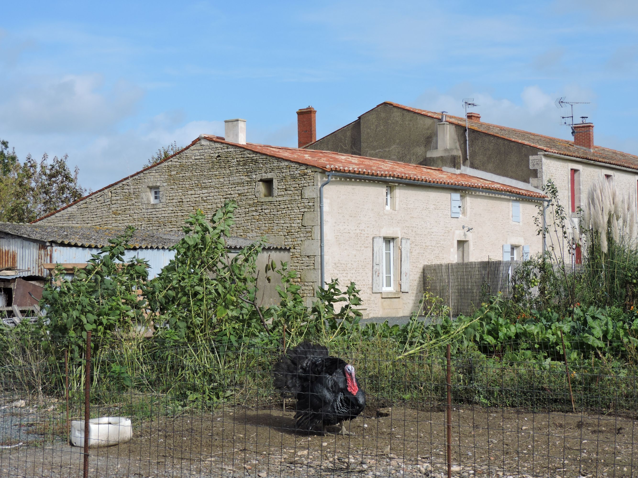 Ferme, actuellement maison ; 15 rue Saint-Nicolas