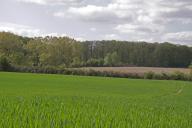 La Forêt de Bercé : présentation de l'aire d'étude