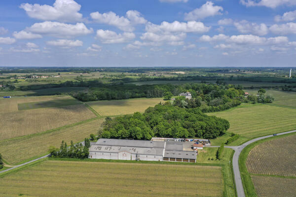 Établissement vinicole de négociant, exploitation viticole, Château du Cléray, établissements Sauvion actuellement Lacheteau SAS