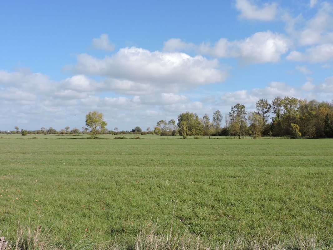 Sainte-Radégonde-des-Noyers : présentation de la commune