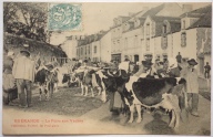 Le marché aux bœufs sur la place de Marhallé. Carte postale. 1er quart du XXe siècle.