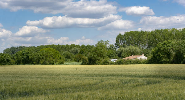 Maillé : présentation de la commune